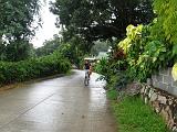 SEYCHELLES - 526 - La Digue, passeggiando in bicicletta